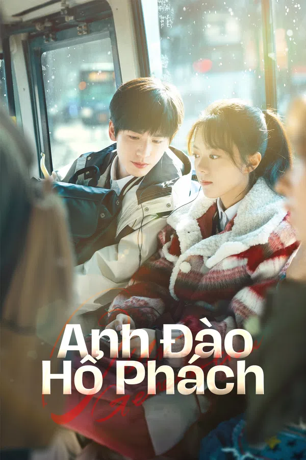 Poster phim Anh Đào Hổ Phách trên SubNhanh