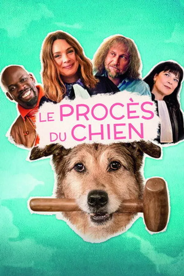 Poster phim Bị Cáo Một Chú Chó trên SubNhanh