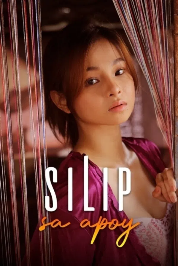 Poster phim Cô Nội Trợ Đa Tình trên SubNhanh