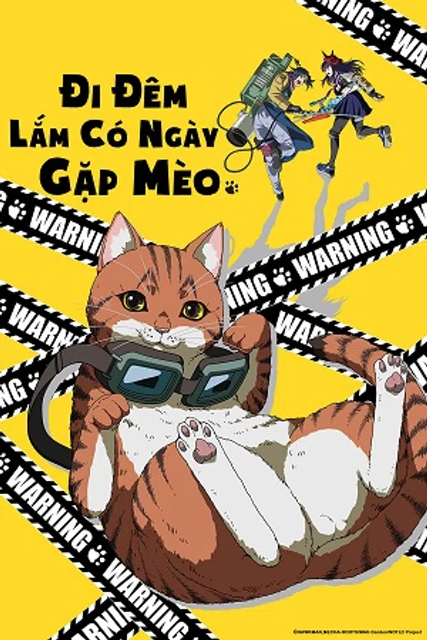 Xem Phim Đi Đêm Lắm Có Ngày Gặp Mèo Vietsub HD Online