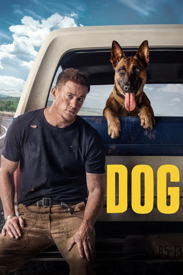 Xem Phim Dog Vietsub HD Online