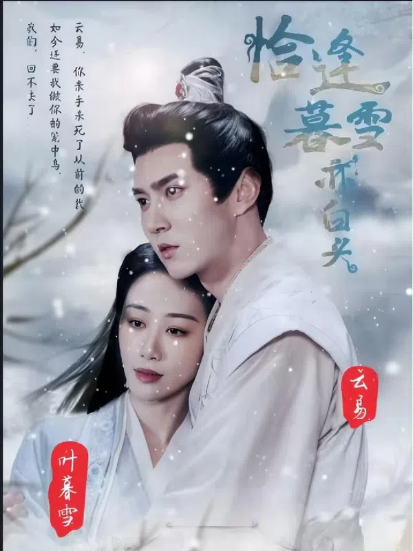 Poster phim Khi Tuyết Hoàng Hôn Gặp Tóc Bạc trên SubNhanh