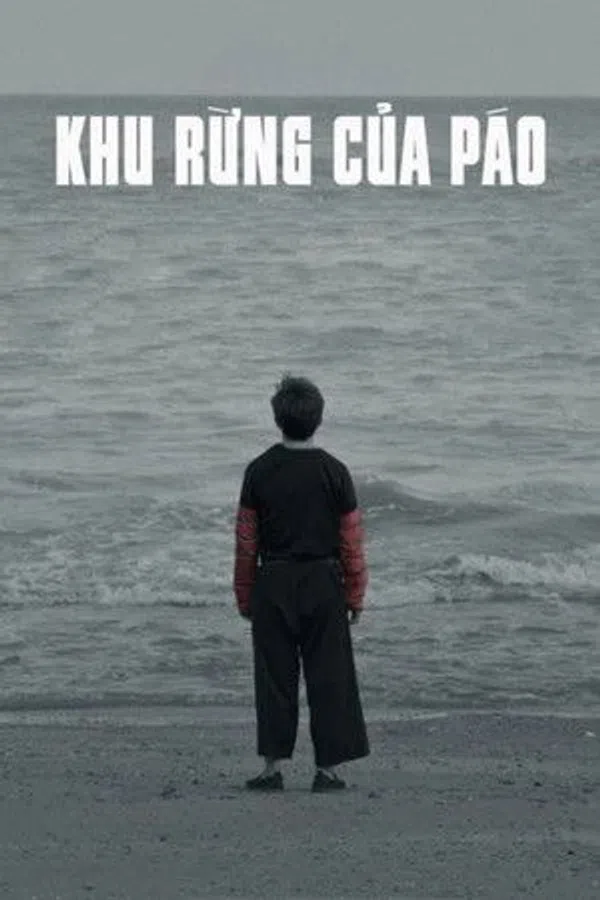 Xem Phim Khu rừng của Páo Vietsub HD Online