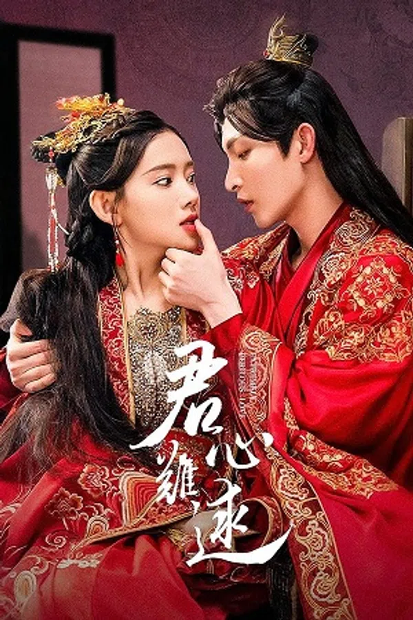 Poster phim Lòng Chàng Khó Đoán trên SubNhanh