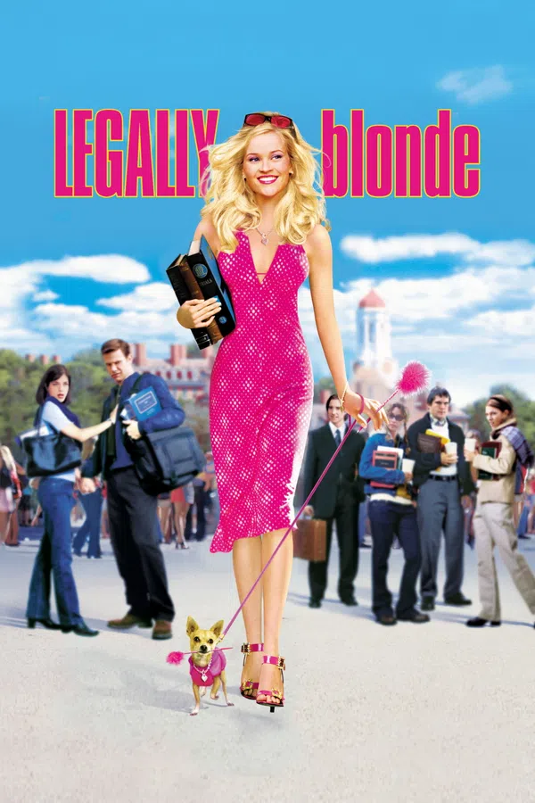 Poster phim Luật Sư Không Bằng Cấp trên SubNhanh