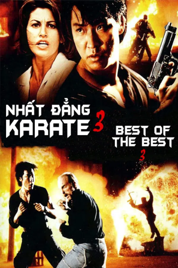 Poster phim Nhất Đẳng Karate 3 trên SubNhanh