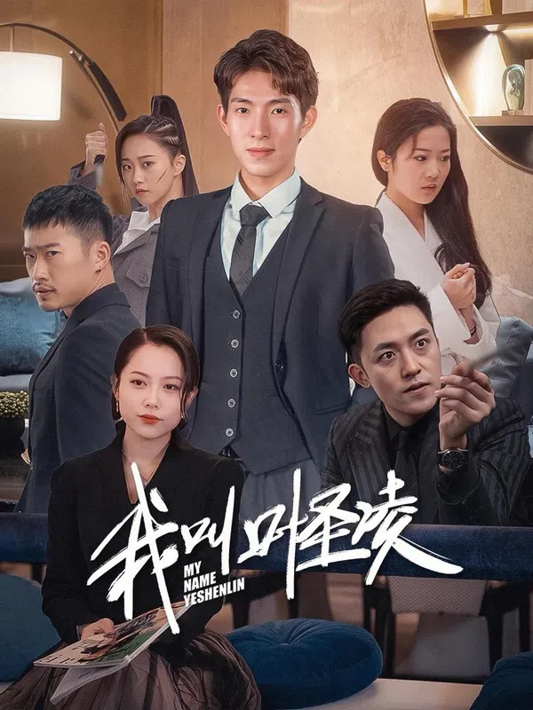 Poster phim Tôi Tên Là Diệp Thánh Lăng trên SubNhanh