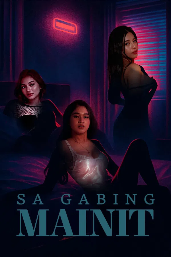 Poster phim Vào một đêm nóng nực trên SubNhanh